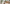 Banner de promoción